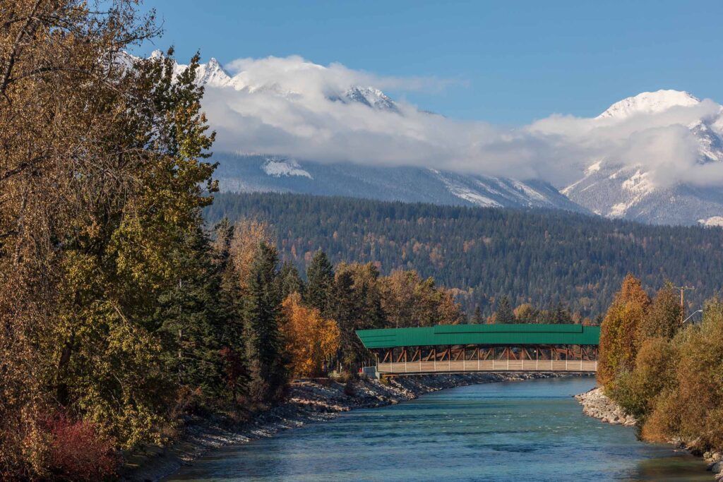 Kicking Horse River under the pedestrian bridge with fall colours and snow-capped peaks of the dogtooth range